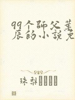 99个师父叶北辰的小说免费阅读