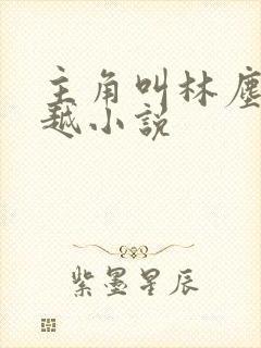 主角叫林尘的穿越小说封面