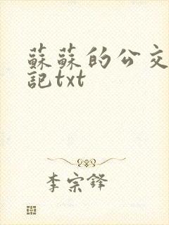 苏苏的公交车日记txt封面