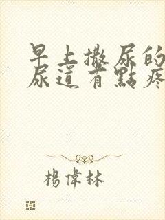 早上撒尿的时候尿道有点疼封面