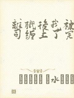 离职后我被前上司缠上了完结