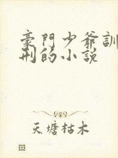 豪门少爷训诫耻刑的小说