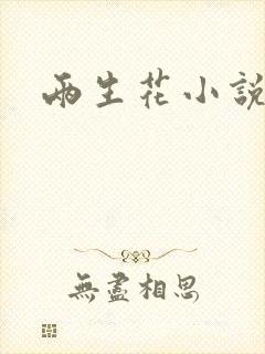 两生花小说封面