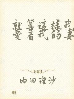 就算这样我还是爱着我的妻子