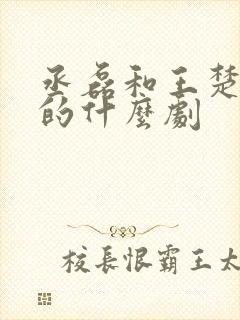 丞磊和王楚然演的什么剧