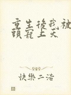 重生后我被死对头宠上天