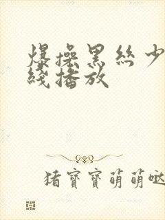 爆操黑丝少妇在线播放封面