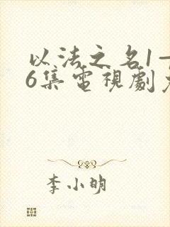 以法之名1—36集电视剧免费观看全集