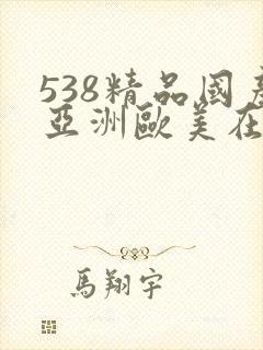 538精品国产亚洲欧美在线