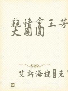 亲情会王芳高敏大团圆封面