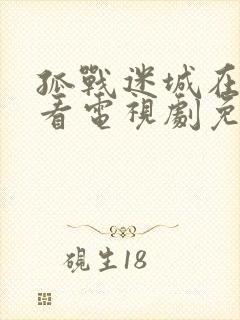 孤战迷城在线观看电视剧免费观看全集封面