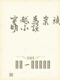 穿越为崇祯的大明小说