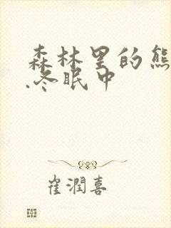 森林里的熊先生.冬眠中