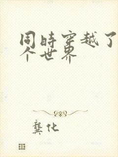 同时穿越了99个世界