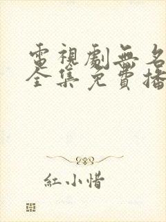 电视剧无名卫士全集免费播放