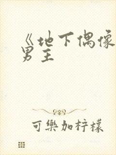 《地下偶像》双男主