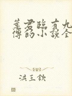 叶君临有九个师傅的小说全集封面