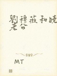 刘穆薇和晓婉的老公