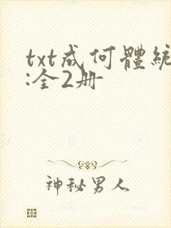 txt成何体统:全2册