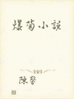 爆菊小说