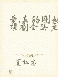 爱,来的刚好电视剧全集免费观看