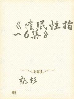 《催眠性指导1～6集》