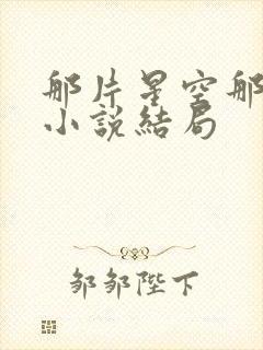 那片星空那片海小说结局