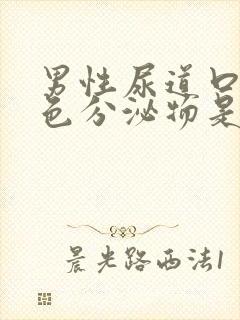 男性尿道口有白色分泌物是