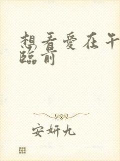 想看爱在午夜降临前