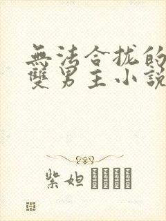 无法合拢的总裁双男主小说