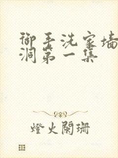 御手洗家墙壁破洞第一集