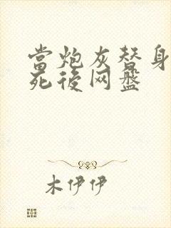 当炮灰替身的我死后网盘封面