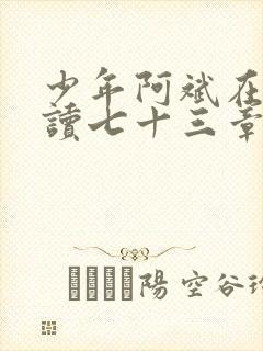 少年阿斌在线阅读七十三章小说