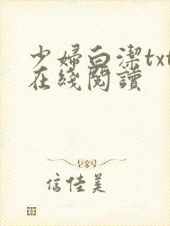 少妇白洁txt在线阅读