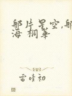 那片星空,那片海 桐华