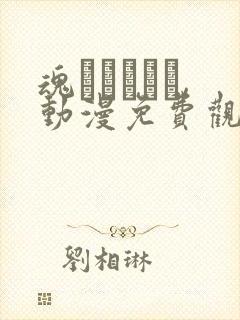 魂インサート,动漫免费观看