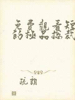 免费观看短剧我的极品总裁老婆