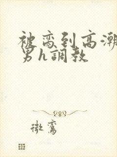 被脔到高潮的直男h调教