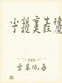 小说重生后我成了护夫狂魔全文封面