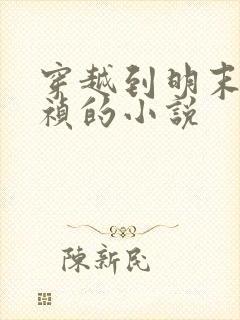 穿越到明末当崇祯的小说