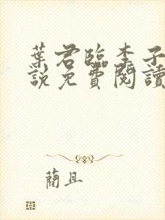 叶君临李子染小说免费阅读