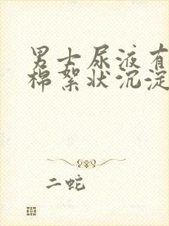 男士尿液有白色棉絮状沉淀物