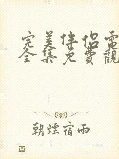 完美伴侣电视剧全集免费观看西瓜封面