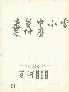 老舅中小雪结局是什么