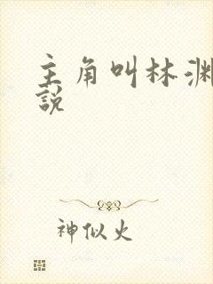 主角叫林渊的小说