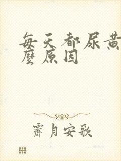 每天都尿黄是什么原因