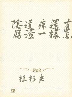 阴道痒还有像豆腐渣一样怎么办