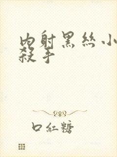 内射黑丝小少妇杀手封面