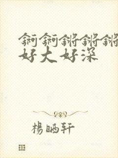 锕锕锵锵锵锵锵好大好深封面