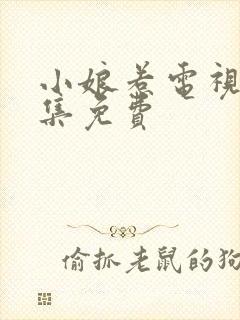 小娘惹电视剧全集免费